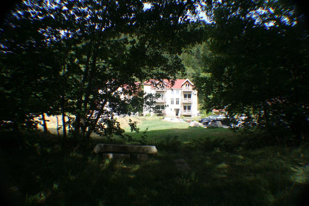 Residence Du Chateau Lublin La Bresse Bagian luar foto