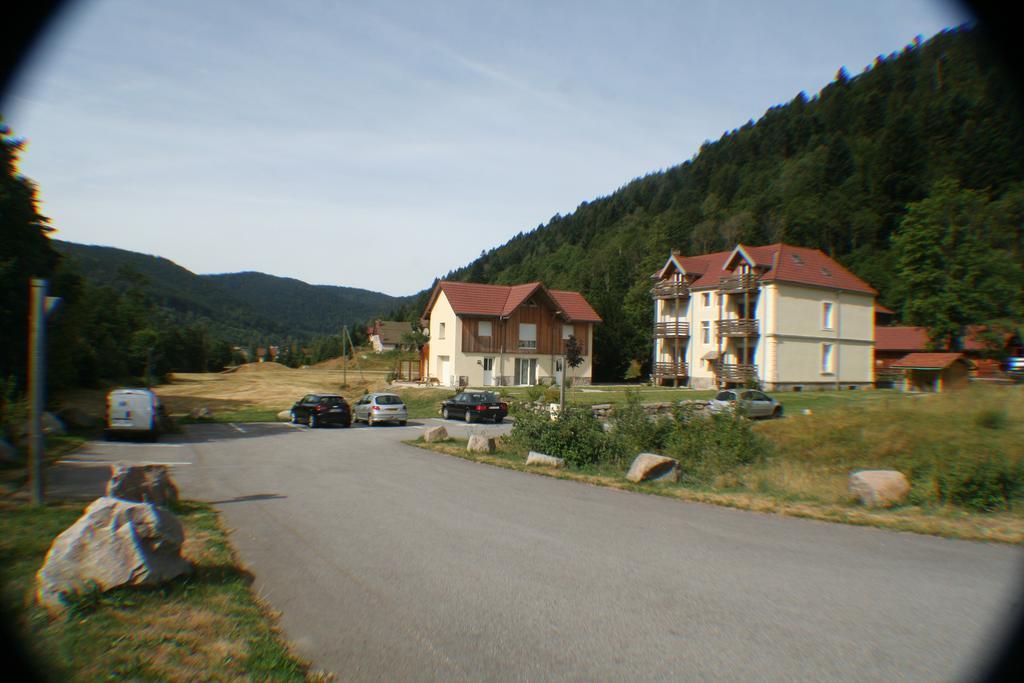 Residence Du Chateau Lublin La Bresse Bagian luar foto