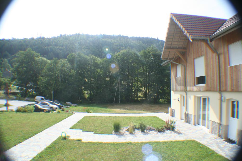 Residence Du Chateau Lublin La Bresse Bagian luar foto
